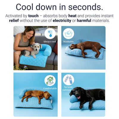 CalmPaws Cooling Bed