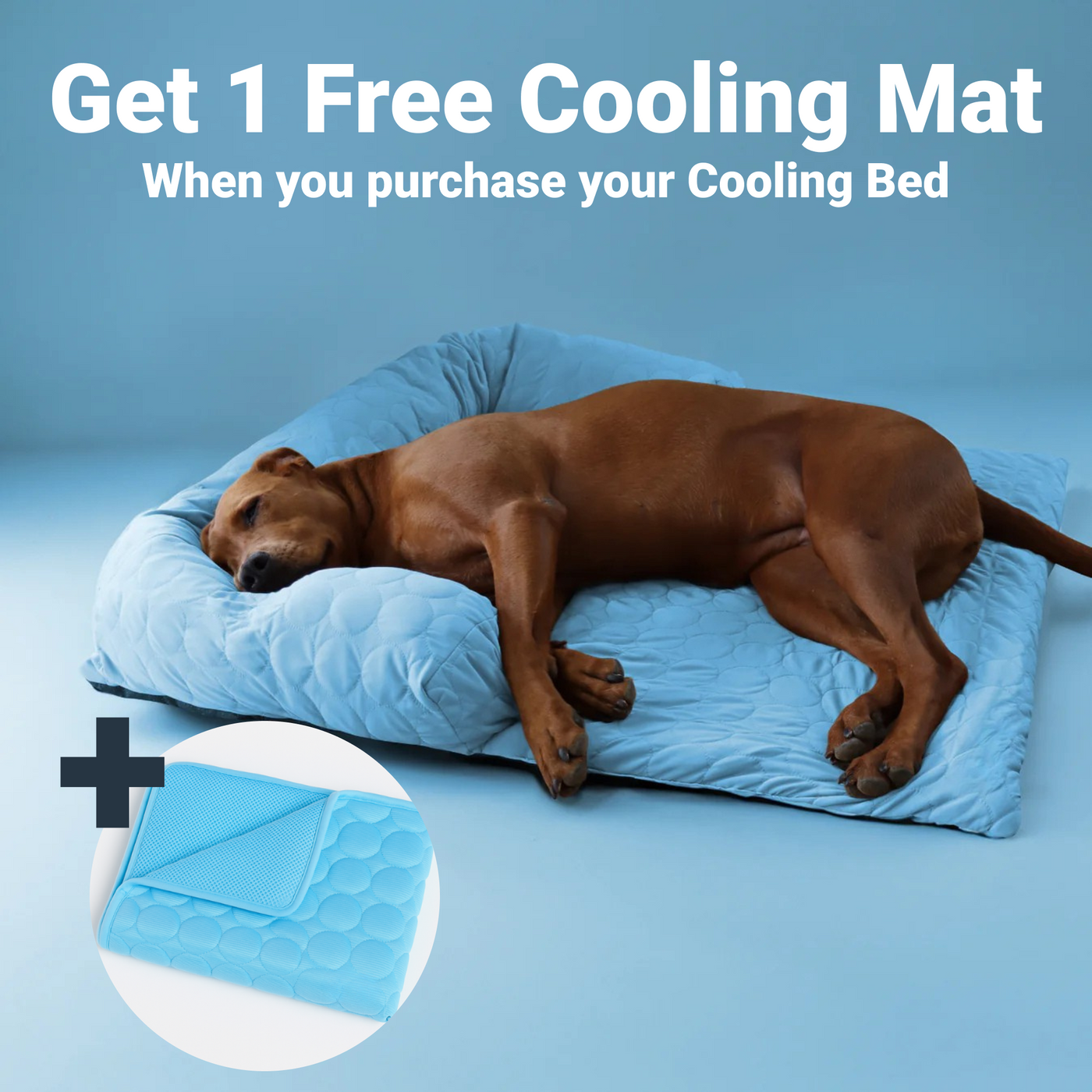 CalmPaws Cooling Bed
