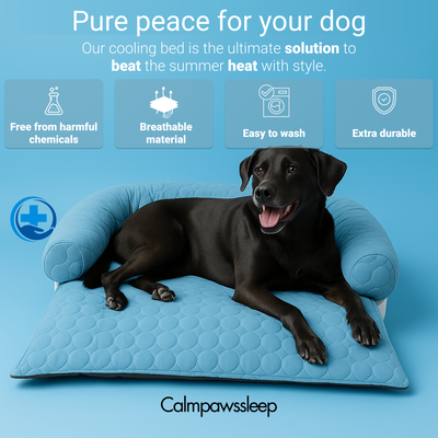 CalmPaws Cooling Bed