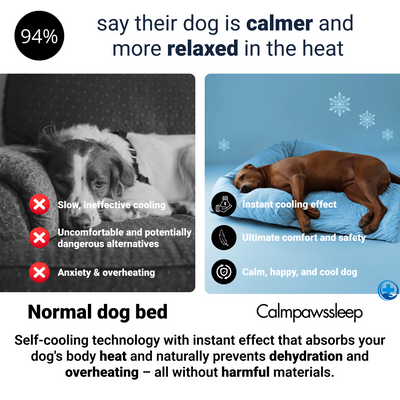CalmPaws Cooling Bed